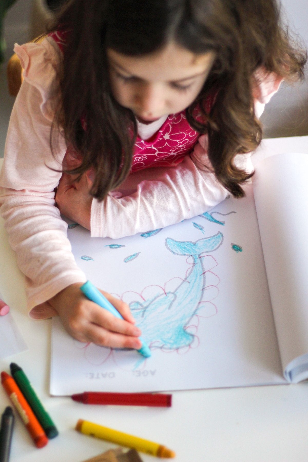North American Book + Jumbos Coloring Set