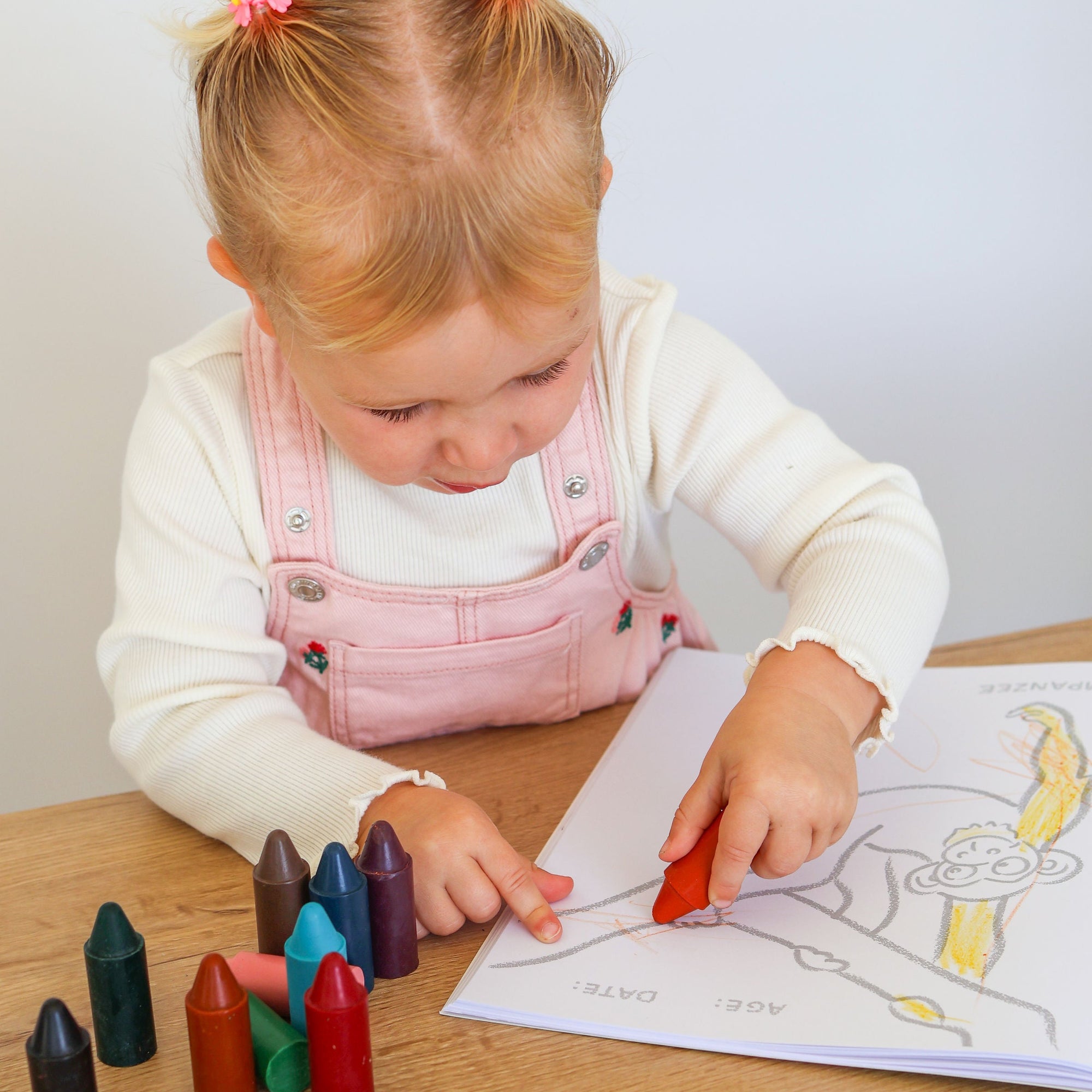 Honeysticks Toddler's First Colouring Book - A North American Adventure